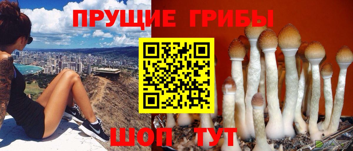 Псилоцибиновые грибы мицелий  Вход с VPN  Галлюциногенные грибы мухоморы  цена наркотик  Избербаш 