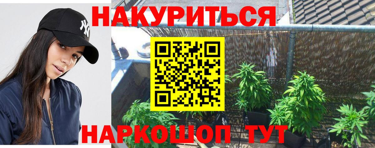 Конопля план Избербаш